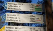 Trail Walking Roppeviller - altschlossfelsen - Photo 6