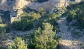 Excursión Ruta Cheval-Blanc - Font de l’Orme-Croix de Fer-Menerbes-Pic Faiendre(17K 950D+) - Photo 9