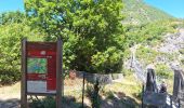 Percorso Marcia Treffort - PASSERELLES MONTEYNARD  TREFFORT a SAVEL - Photo 4