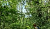 Tocht Stappen Les Arcs-sur-Argens - z le pont de l'Aille 19-04-22 - Photo 1