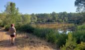 Tocht Stappen Roquebrune-sur-Argens - Puget sur Argens-Les étangs de Raphèle-MBO - Photo 10