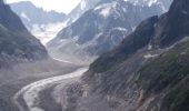 Randonnée Marche Chamonix-Mont-Blanc - MASSIF DU MONT BLANC: TRAVERSEE PLAN DE L'AIGUILLE - MONTENVERS - Photo 20