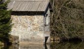 Tour Zu Fuß Geroldsgrün - Floßteichweg DÖ 90 - Photo 8