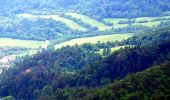 Excursión A pie okres Prešov - Náučný chodník Kamenná Baba - Lačnov - Photo 4