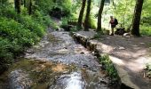 Excursión Senderismo Saint-Chély-d'Aubrac - live Saint Chély - Saint Côme - Photo 7