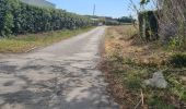 Tocht Quad Montescot -  Villeneuve-de-la-Raho-Collioure (Septembre/Juin) - Photo 6