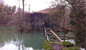 Tocht Te voet Kaiserstuhl - Kaiserstuhl Brücke - Rümikon Rheinufer - Photo 1