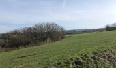 Percorso Marcia Nassogne - Nassogne Ambly - Photo 8