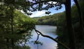 Trail Walking La Roche-en-Ardenne - Barrage nasradin  - Photo 3