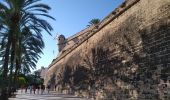 Tour Wandern Unknown - Palma - Photo 4