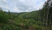 Excursión Senderismo La Roche-en-Ardenne - Balade à Maboge - La Roche en Ardennes - Photo 19