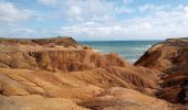 Tour Wandern Sainte-Anne - Savane des Pétrifications - Photo 10