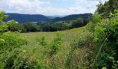 Tour Wandern Estaing - live Estaing - Golinhac - Photo 10