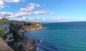 Trail Walking Leucate - leucate . franki plage . leucate - variante - Photo 18