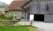 Tour Zu Fuß Thalgau - Große Plaike - Photo 4