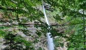 Trail Walking Kranjska Gora - pericnik excursion - Photo 6