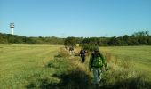 Trail Walking Lisses - Le marais de Lisse - Photo 7