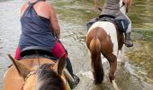 Trail Horseback riding Hériménil - Herimenil baignade Tivio Kenzo tiboy  - Photo 10