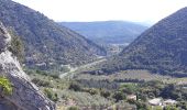 Trail Walking Nyons - Montagne de Vaux - Photo 11