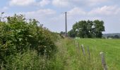 Tour Wandern Herve - 20240606 - IPA Verviers- Reconnaissance balade - Photo 10