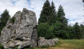 Tocht Stappen Arâches-la-Frasse - Mont Jovy pierre à Laya - Photo 6