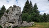 Randonnée Marche Arâches-la-Frasse - Mont Jovy pierre à Laya - Photo 6