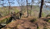 Randonnée Marche La Petite-Pierre - la petite pierre, les rochers - Photo 8