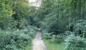 Randonnée Marche Rethondes - en forêt de Laigue_15_07_2021_autour du Mont du Fouilleux et du Mont des Singes - Photo 2