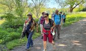 Trail  Yerres - BM boucle Réveillon Yerres  - Photo 11