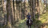 Trail Horseback riding Chiny - Chiny pi - Photo 1