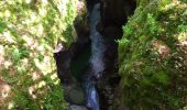 Trail Walking Bohinj - Gorges - Photo 5