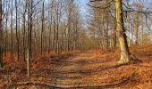 Percorso A piedi Vieux-Moulin - en forêt de Compiègne_23_la Grotte des Ramoneurs_le Mont Berny - Photo 14