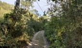 Excursión Senderismo Les Arcs-sur-Argens - font du loup vers taradeau les arcs - Photo 6