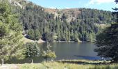 Tour Wandern Urbeis - Col du Wettstein - Hautes-Huttes - Lac du Forlet - Lac Vert - Photo 9