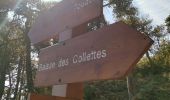Trail Walking Toudon - FFR - la Cime des Colettes  - Photo 11