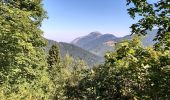 Tour Wandern Saint-Jean-d'Aulps - Joranloup par télécabine  - Photo 2