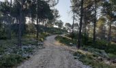 Tocht Stappen Gémenos - Coulin, Mont Cruvelier, Sommet de Bigou - Photo 11