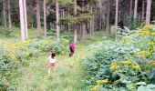 Trail Walking Autrans-Méaudre en Vercors - Le Gros Martel par le trou de L'enfer - Photo 3