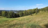 Trail Walking Andenne - Seilles - Balade du chant d'oiseau n° 6 (AD28) - Photo 4