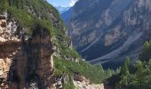 Tocht Stappen Cortina d'Ampezzo - DOLOMITES 02 - Refugio Pederü - Photo 10