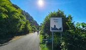 Tocht Stappen Anhée - Marche Adeps à Anhée - Photo 5