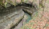 Excursión Senderismo Clarafond-Arcine - Entre Nant et Rhône  - Photo 7