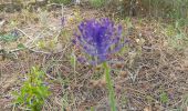 Trail Walking La Barre-de-Monts - Le phare  - Photo 11