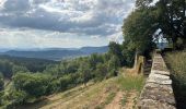 Trail Walking Lyas - Lyas  la Neuve  azur - Photo 6