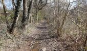 Trail Walking Aywaille - sougné-remouchamps . ninglinspo . selon . sougné - Photo 12
