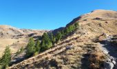 Randonnée Marche Valdeblore - Lacs des Millefonts de col du Barn au col Ferriere - Photo 4