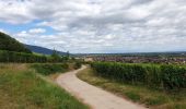 Tour Wandern Kestenholz - Le Hahnenberg et les balcons de Sélestat - Photo 9