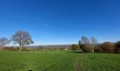 Percorso Marcia Herve - PAYS DE HERVE: HERVE - JULEMONT - CHARNEUX - HERVE 15KM - Photo 2