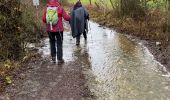 Tour Wandern Rochefort - Lavaux-Sainte-Anne PVL Nov 2023 - Photo 9