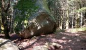 Tocht Stappen Xonrupt-Longemer - Lac Longemer, Col de la Grande Basse,Rouge Feigne, Lac de Lispach - Photo 2